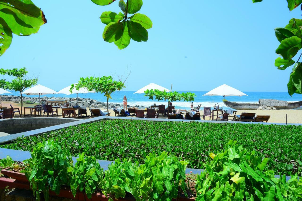 Hotel Palm Tree Anex Varkala Zewnętrze zdjęcie